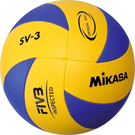 Mikasa Volleyball