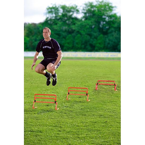 Minihürde "Training" Einzeln