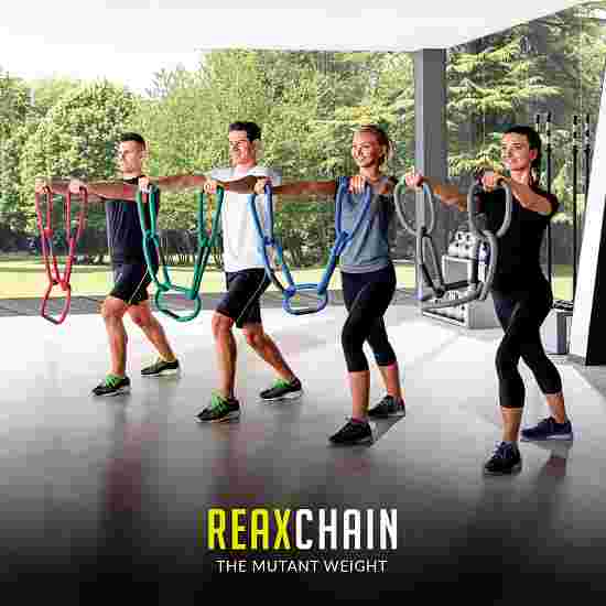 Reaxing Gewichtsketten &quot;Reax Chain Fit 5&quot; 2 kg, Grau