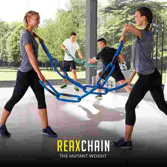 Reaxing Vægtkæde Vægtkæder &quot;Reax Chain Fit 5&quot; 2 kg, Grå