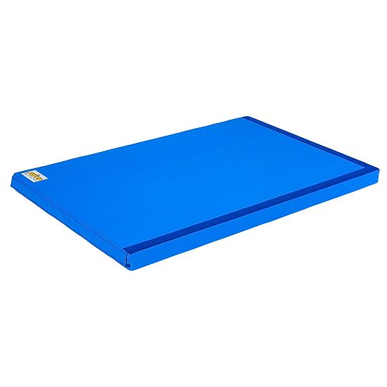 Reivo® Combi Gymnastics Mat 150x100x8 cm