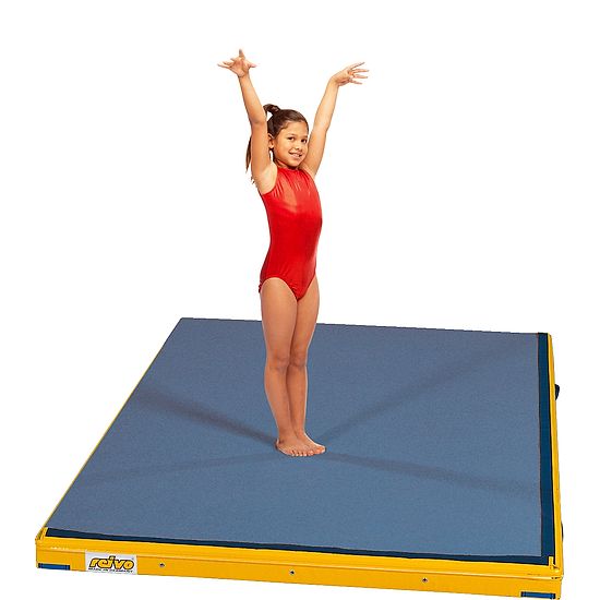 Reivo® Multi-Use Landing Mat 300x200x12 cm, Blue