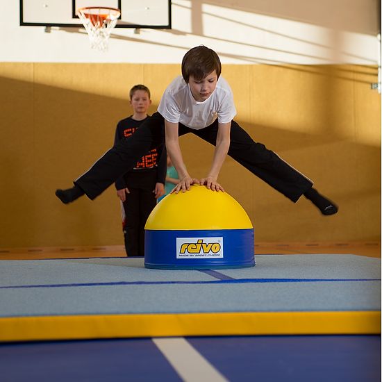 Reivo Rinogym Gymnastics Mushroom buy at