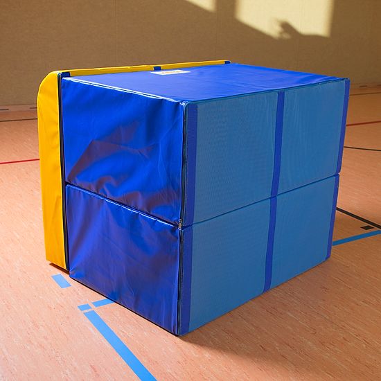 Reivo® Rinogym® Springbord