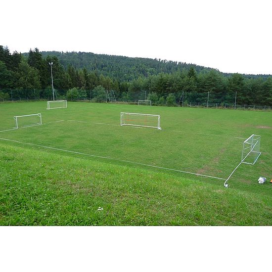 "Samy" Pitch Marking