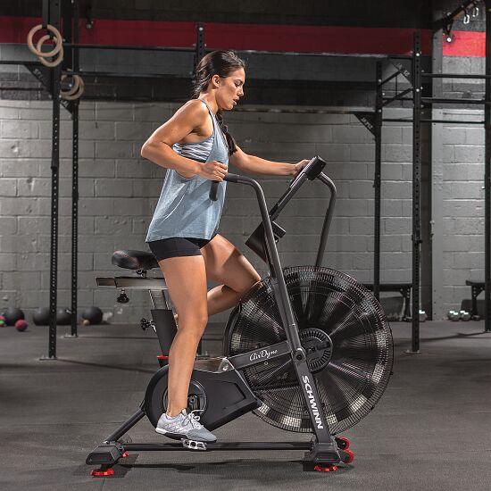 schwinn airdyne ad8 review