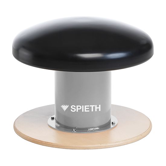 Spieth Gymnastics Mushroom buy at