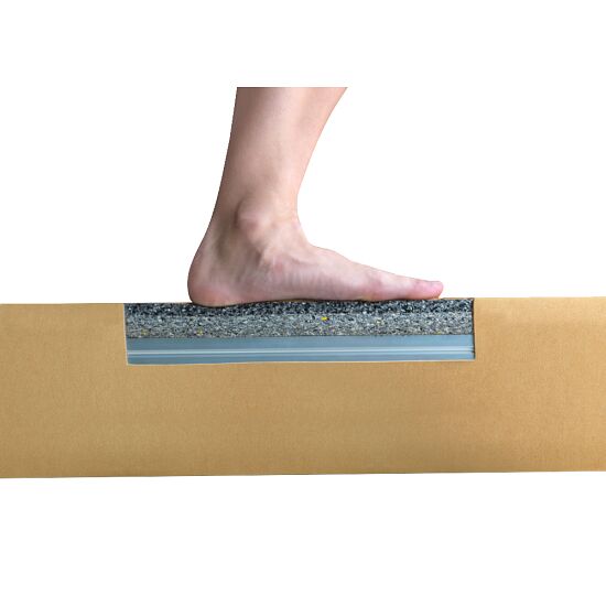 Spieth Soft Touch Competition Balance Beam Buy At Sport Thieme Com