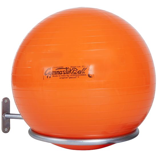 Sport-Thieme® Einball Halterung