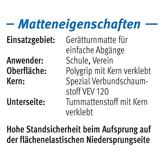 Sport-Thieme® "GTM 3000" Apparatus Gymnastics Mat 200x100x6 cm, 17 kg, Blue