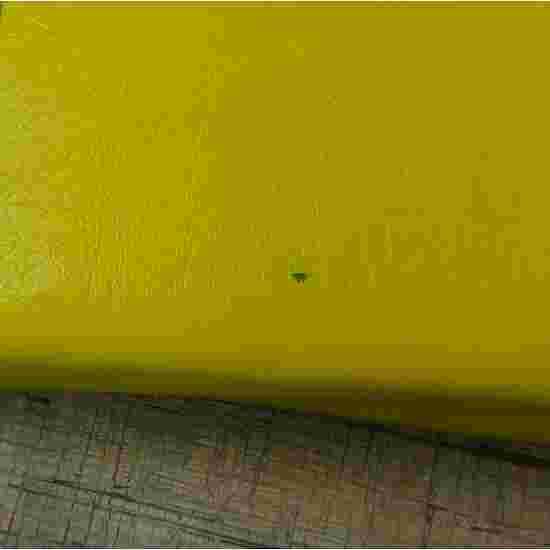 Sport-Thieme Gymnastikmåtte &quot;Special&quot;, 200x100x8 cm Basis, Polygrip gul
