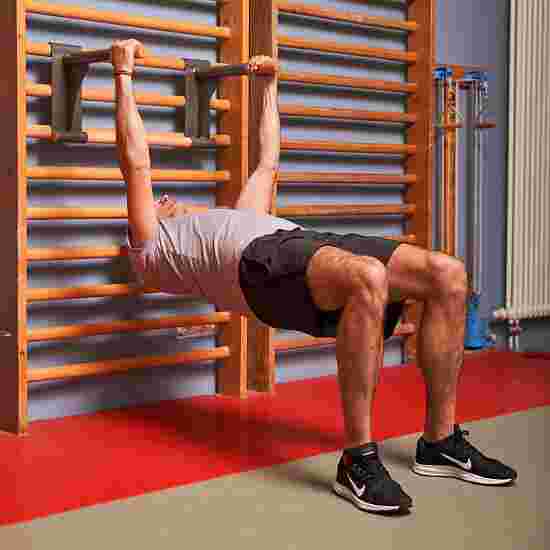 Sport-Thieme Krophævnings-Dip-stang &quot;Kombi&quot;