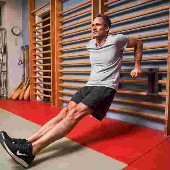 Sport-Thieme Krophævnings-Dip-stang &quot;Kombi&quot;