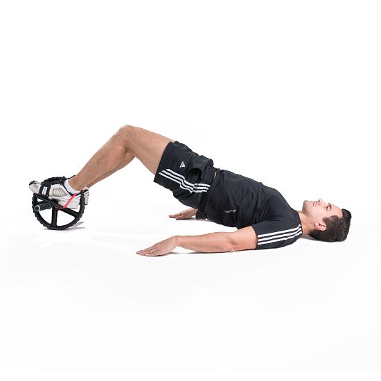 ab roller plus official website