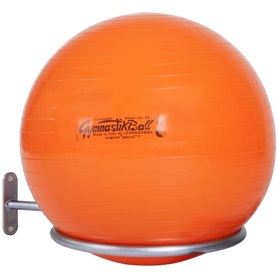 exercise ball holder