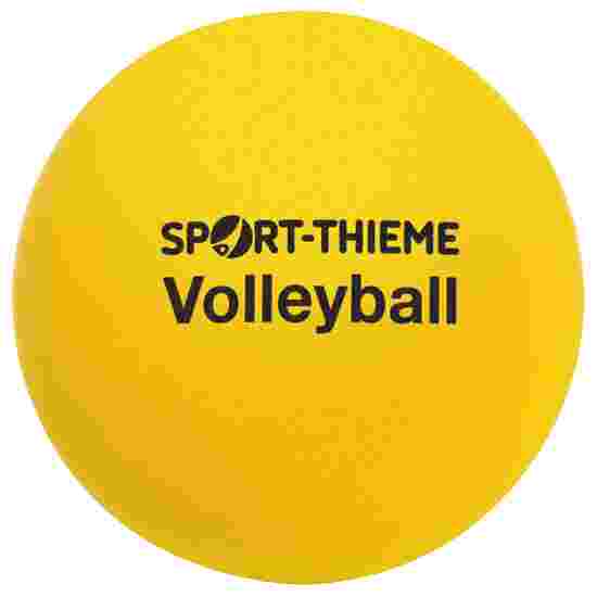 Sport-Thieme Skum-Volleyball