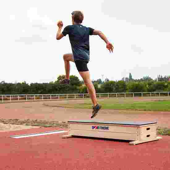 Sport-Thieme Springkraftstræner &quot;Jump&quot; Sæt S