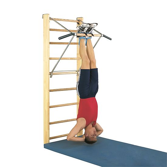 Sport-Thieme® Sprossenwand mit Klimmzugbügel "Premium" Sprossenwand 210x80 cm