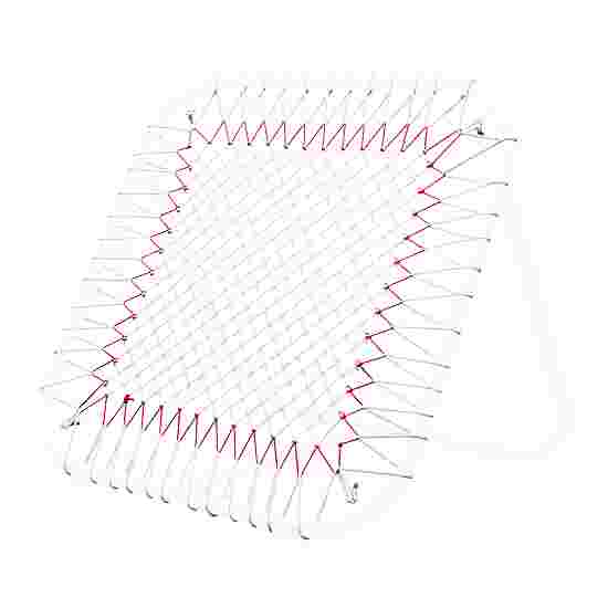 Sport-Thieme Tchoukball-Net til Tchoukball 80x80 cm