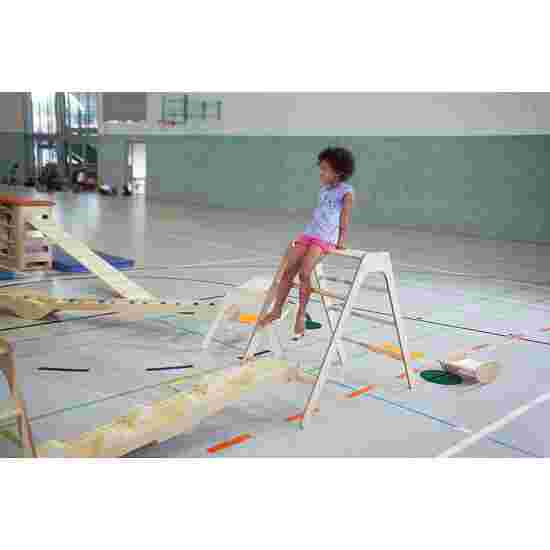 Sport-Thieme Trapezbuk &quot;Original&quot; Stor   