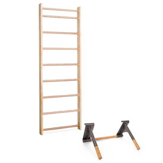 Sport Thieme Wall Bars With Pull Up And Dip Bar Buy At Sport Thieme Com