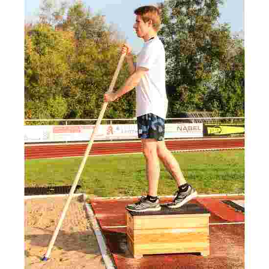 SportThieme Wooden Vaulting Pole buy at