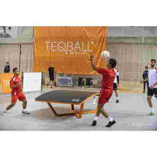 Teqball Spillebord &quot;Teq One&quot;
