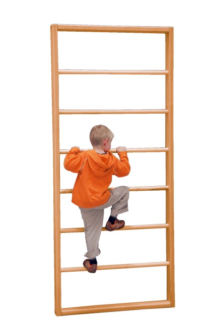 Sport-Thieme TuWa Large Span Wall Bars