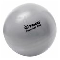 Togu "Powerball ABS" ø 55 cm