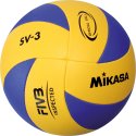 Mikasa Volleyball