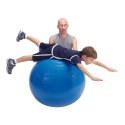 Gymnic Fitnessball ø 65 cm