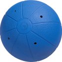 WV Goal-ball