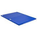 Reivo Lightweight Combi Gymnastics Mat 150x100x6 cm, 6 kg