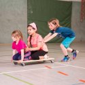 Sport-Thieme "Jumbo" Roller Board