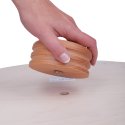 Pedalo Balance-Wippe "Wipp-Varioboard"