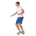 Pedalo Balancevippe "Wipp-Varioboard"