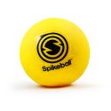 Spikeball "Rookie"