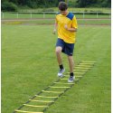 Sport-Thieme Koordinationsstige "Agility" 8 m, Enkelt-stige