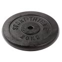 Sport-Thieme "Cast Iron" Weight Plates 20 kg