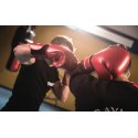 Sport-Thieme Boxhandschuhe "Knock-Out" 10 oz.