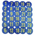 Ground Markers "Numbers 1-30"