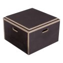 Sport-Thieme Plyobox "Kombi" 50x50x30 cm