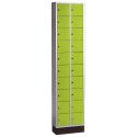 "S 4000 Intro" Valuables Lockers Viridian green (RDS 110 80 60)
