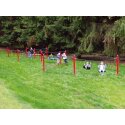 Haiger Rope Obstacle Course