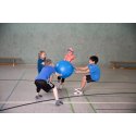Sport-Thieme Kooperationsspiel "Ringelball"