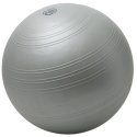 Togu Gymnastikball "Powerball Challenge ABS"