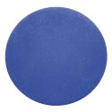 Sport-Thieme "Physio Ball" Blue, high