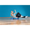 Sport-Thieme Aerobic-Stepper "Basic"