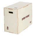 Sport-Thieme Plyo Box Holz 40x60x75 cm