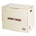 Sport-Thieme Plyo Box Holz 40x60x75 cm